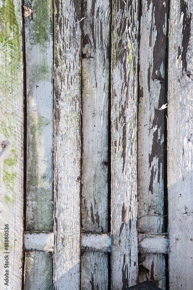 Fototapeta premium Holzwand 5
