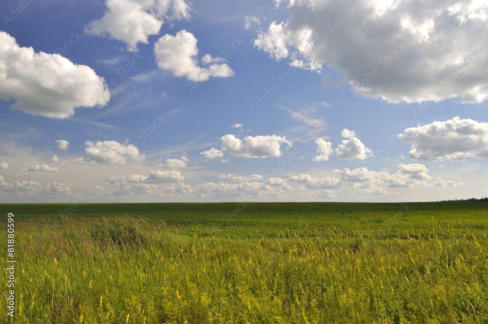 Clouds over the meadow