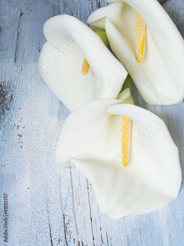 Fototapeta Naklejka Na Ścianę i Meble -  calla flowers on the wooden background