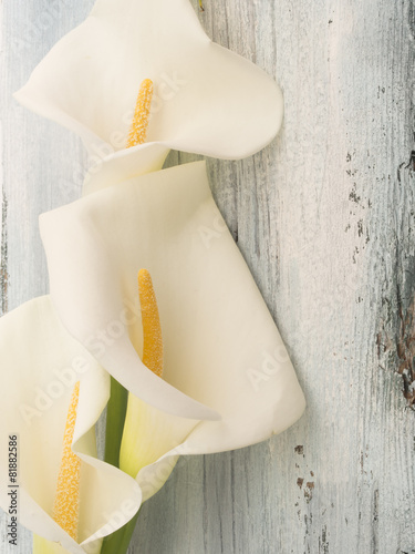 Fototapeta Naklejka Na Ścianę i Meble -  calla flowers on the wooden background
