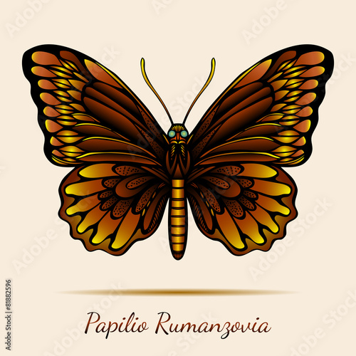 Papilio Rumanzovia Butterfly