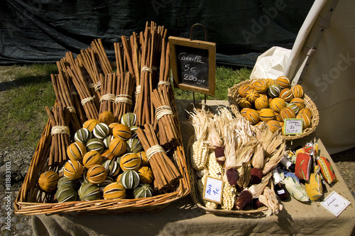orticola 2012