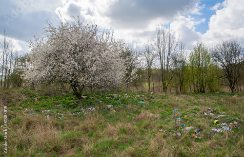 Obraz na płótnie Landfill and tree w salonie