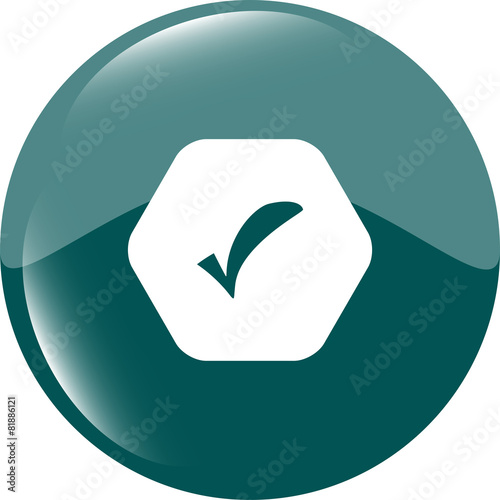 glossy web button with check mark sign, icon isolated on white