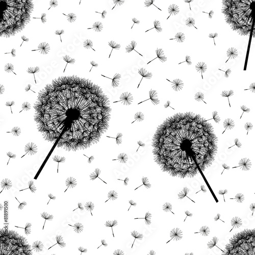 Fototapeta Naklejka Na Ścianę i Meble -  Seamless pattern black-white with dandelions