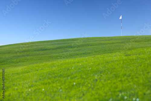 Flag on golf field © destillat