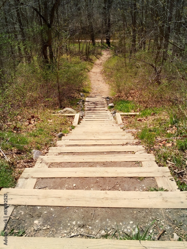 A foot path leads into the woods along a hiking trail.