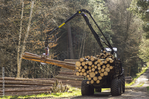 tractors for processing of harvested timber in the forest photo