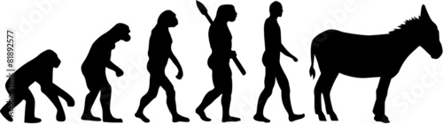Donkey Evolution