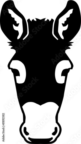 Frontview Donkey head