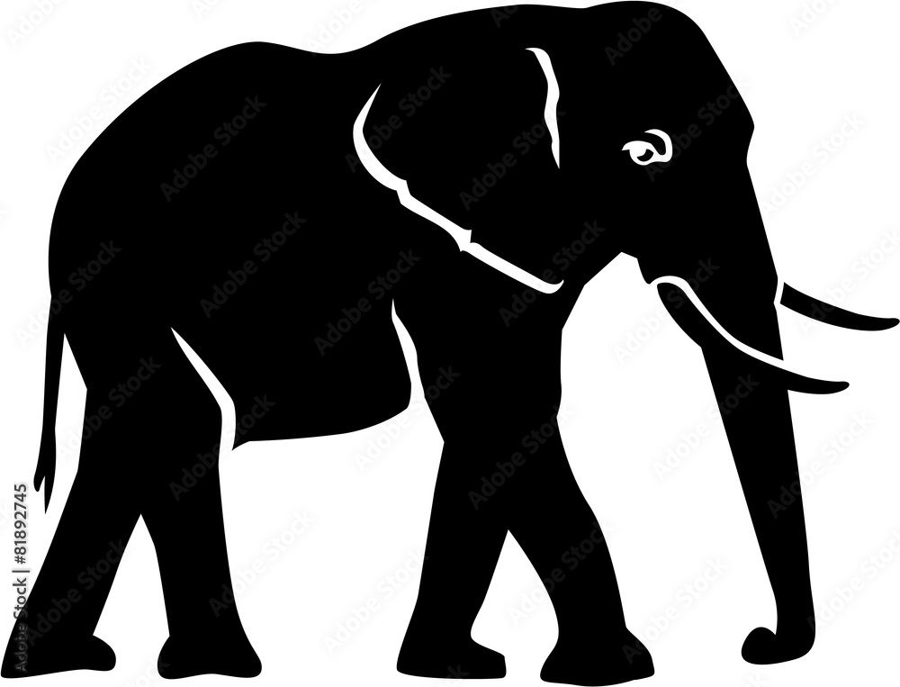 Fototapeta premium Elephant Silhouette