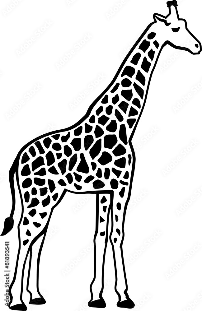 Giraffe silhouette with pattern Giraffe silhouette with pattern
