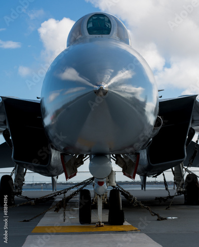 Navy F-14 Fighter Jet