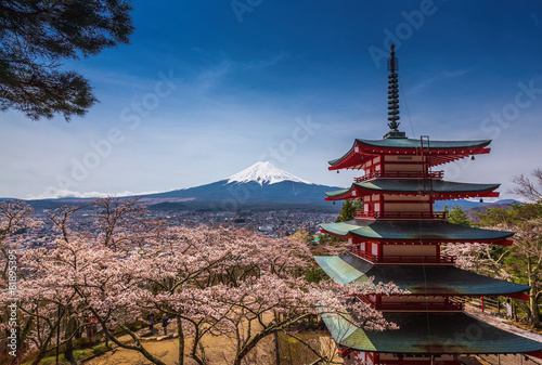 Chureito Pagoda with sakura   Beautiful Mt.fuji View