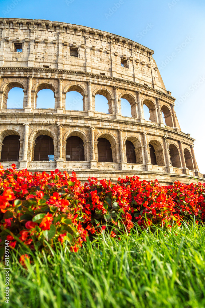 Obraz premium Colosseum in Rome