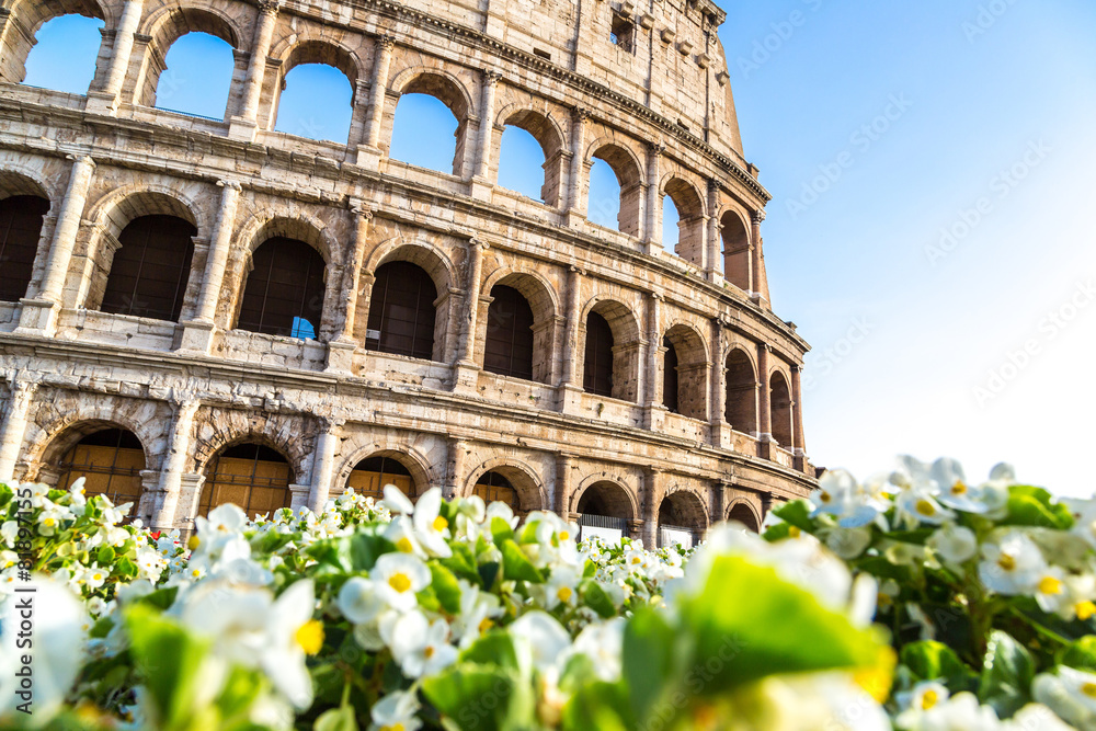 Obraz premium Colosseum in Rome