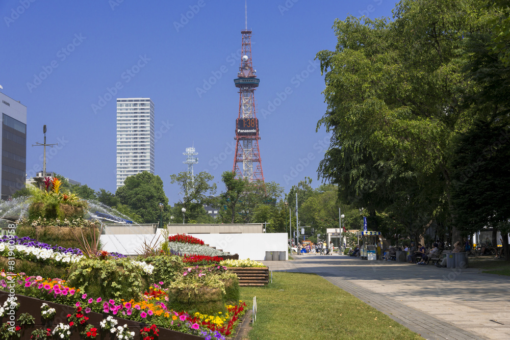 Obraz premium 札幌の大通り公園