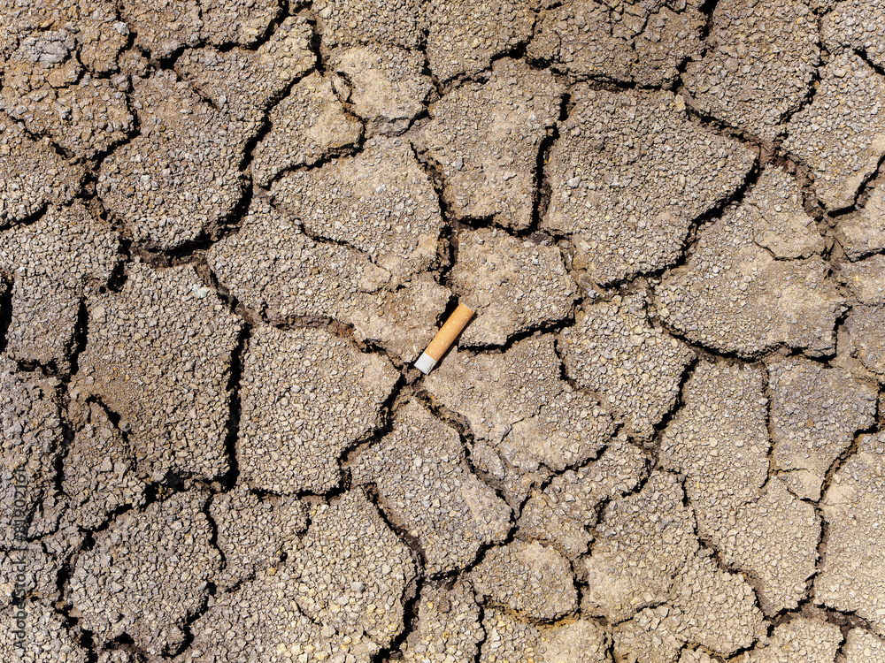 Fototapeta premium butt on the ground