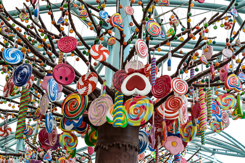 candy tree photo