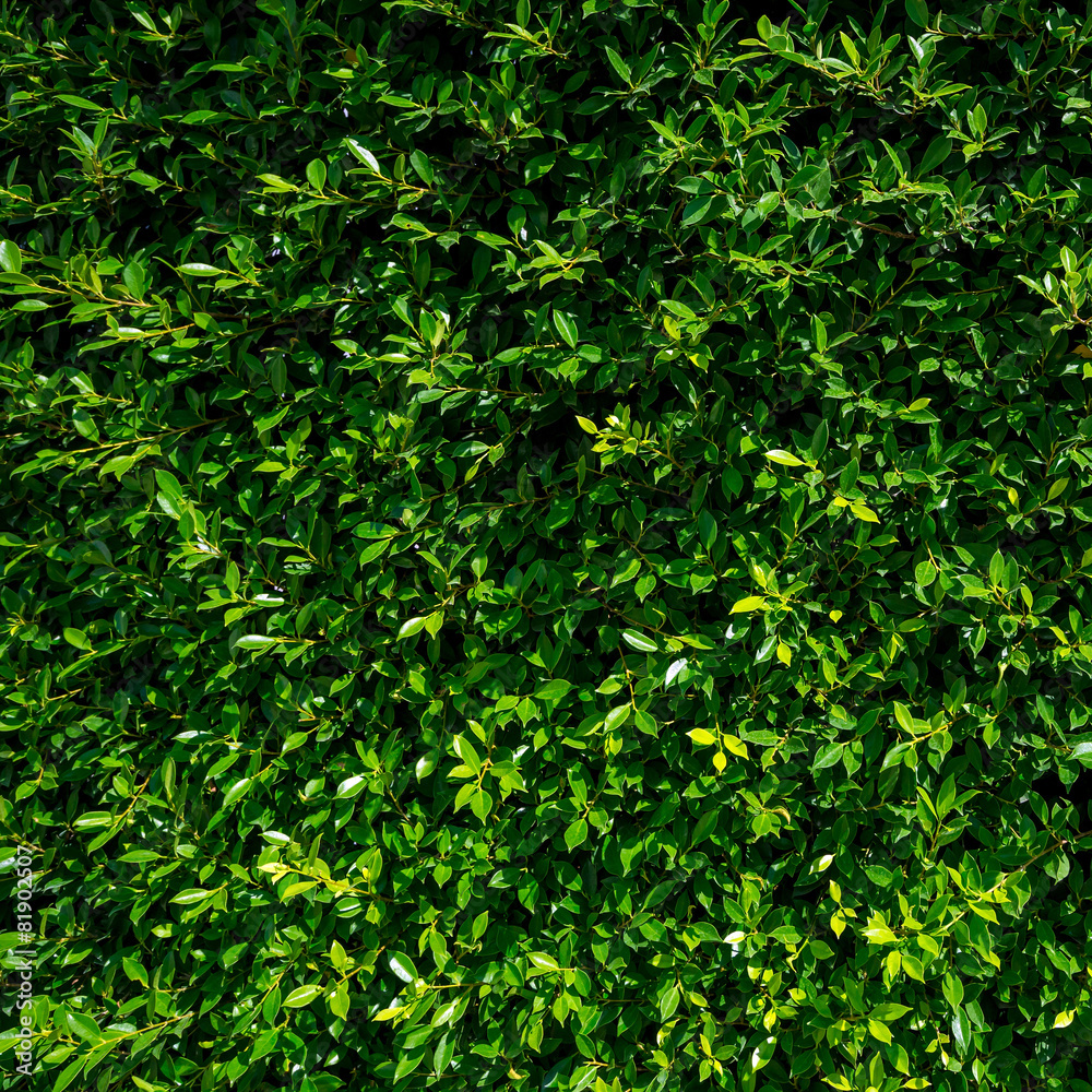 Artificial green Grass Artificial green Grass