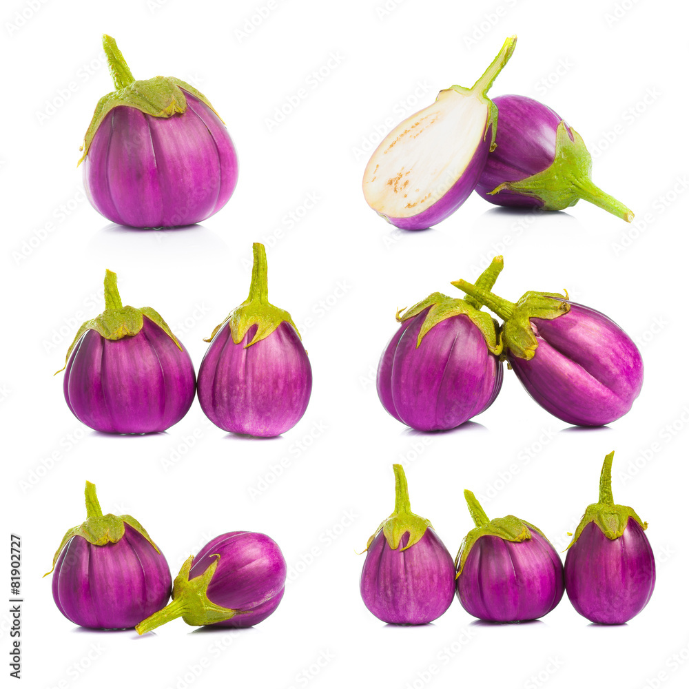 eggplant isolated on a white background eggplant isolated on a white background