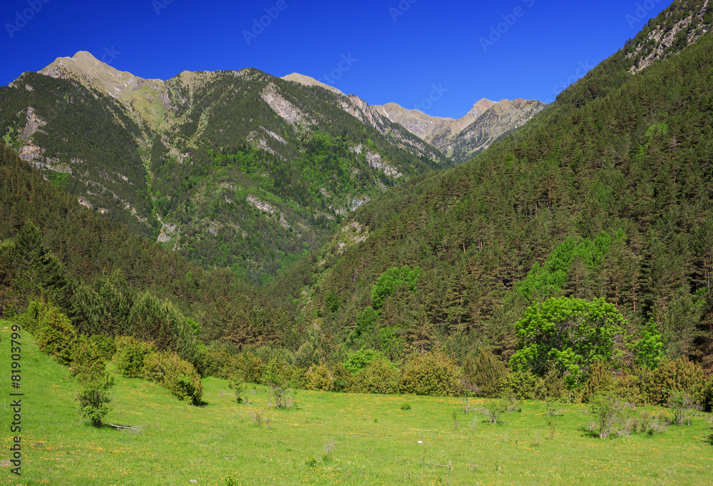 Amazing view of mountain landscape in national park Aiguestortes Amazing view of mountain landscape in national park Aiguestortes