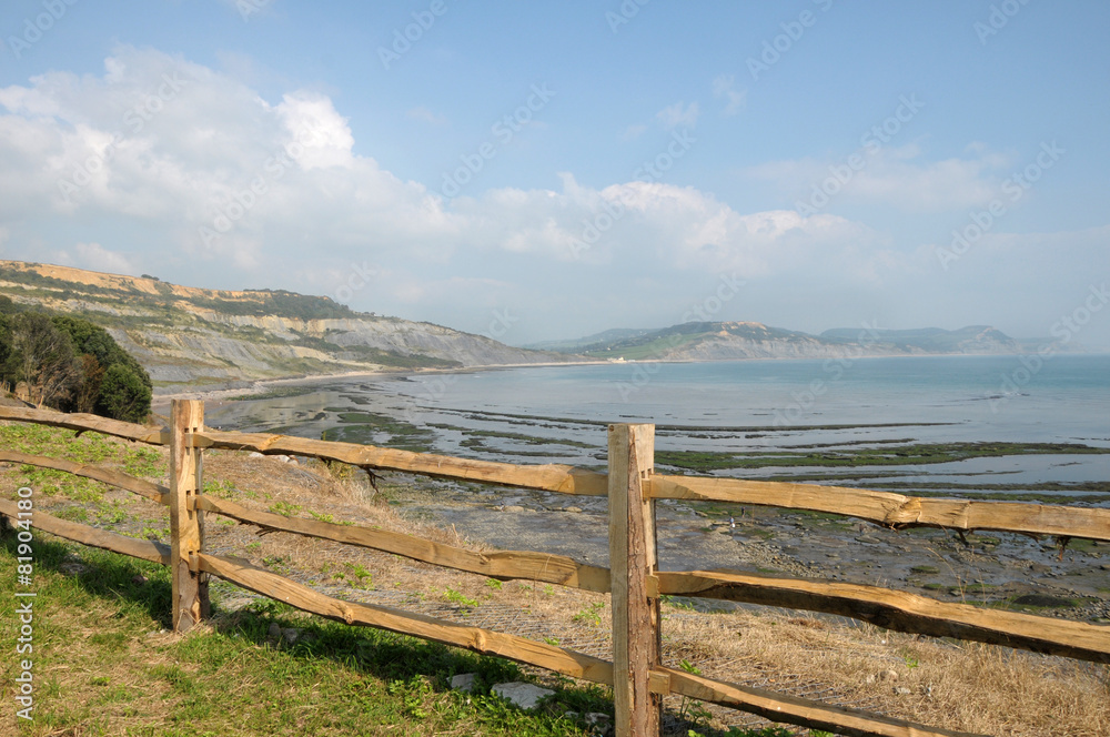 Fence above seafront at Lyme Regis, Dorset
