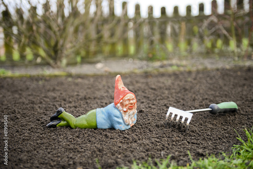 Gartenzwerg im Beet photo