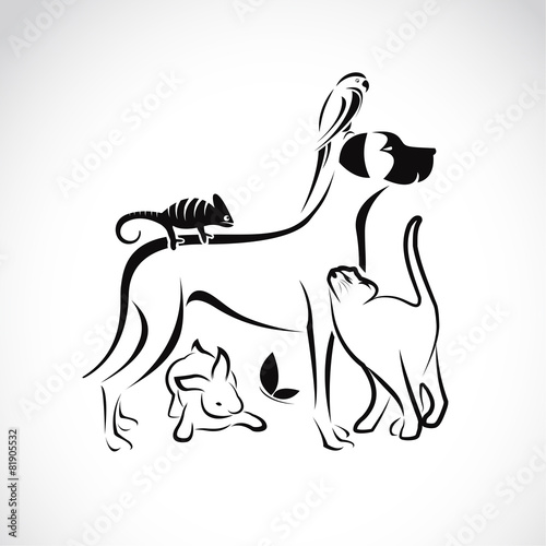 Vector group of pets - Dog, cat, parrot, chameleon, rabbit, butt