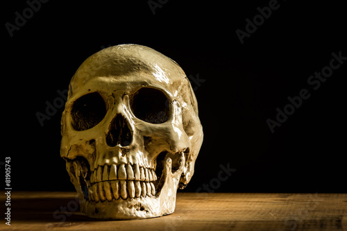skull in the dark