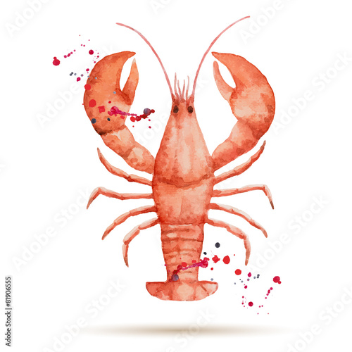 Watercolor lobster.