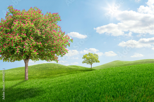 Idyllische Landschaft mit blühendem Kastanienbaum