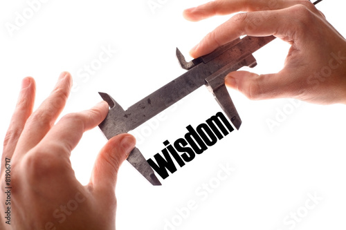 Quadro su tela Small wisdom