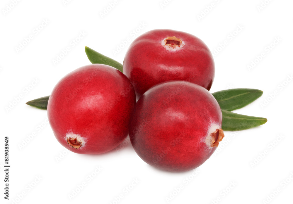 Three ripe cranberries with green leaves (isolated) Three ripe cranberries with green leaves (isolated)