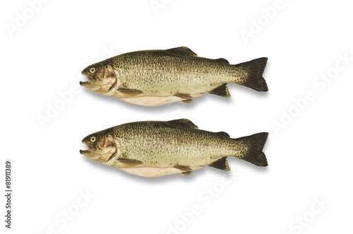Two cleaned trout on white background