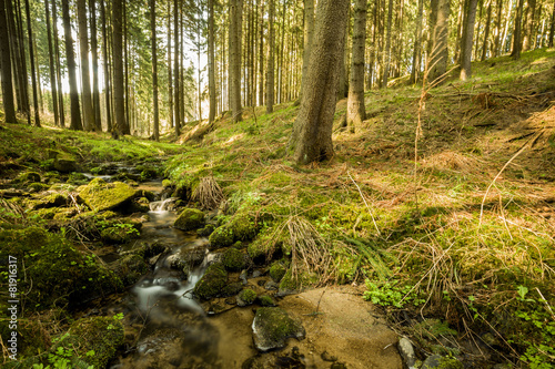 Photos Falls on the small mountain river in a forest