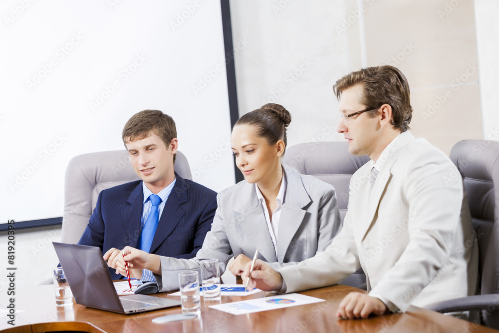 Fototapeta premium Business team meeting