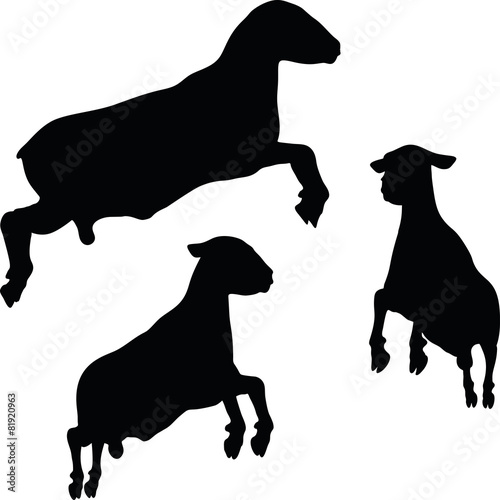 sheep silhouette with jumping pose