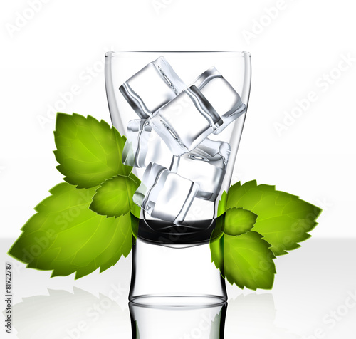 Vector beer glass with ice and mint