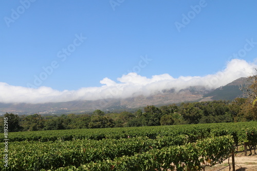 Constantia Valley