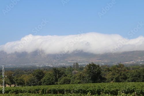 Constantia Valley