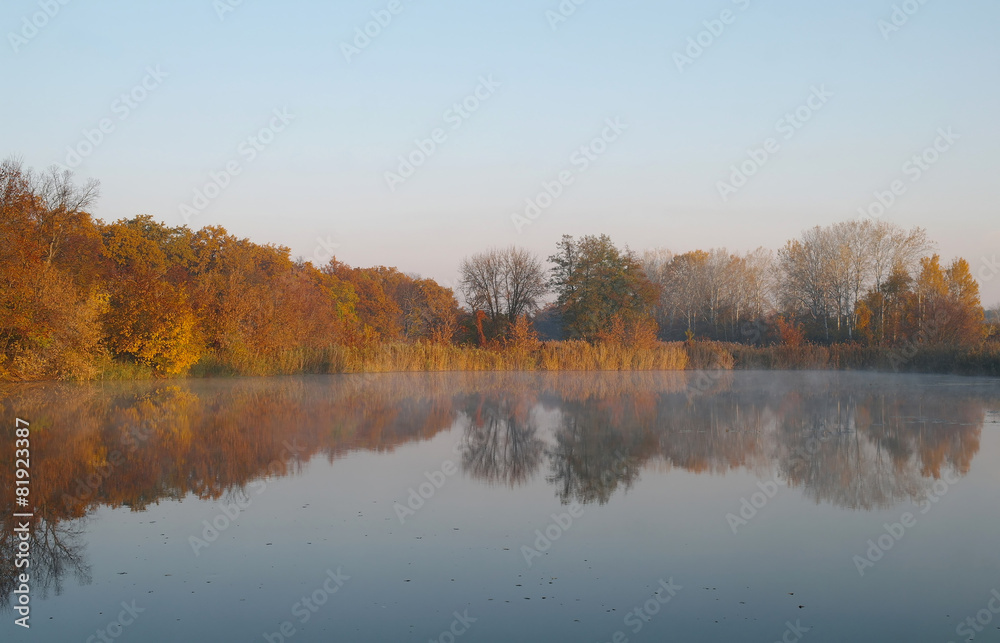 River landscape and  autumn wood