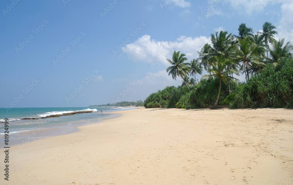 Picturesque tropical beach. Sri Lanka Picturesque tropical beach. Sri Lanka