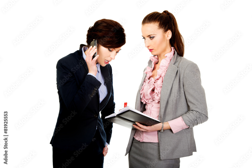 Two businesswomans discussing with eachother. Two businesswomans discussing with eachother.