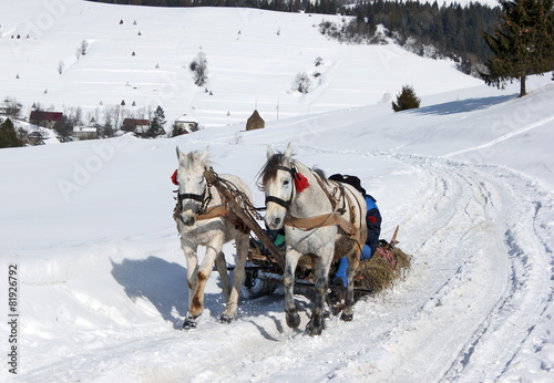 winter village horse carriage