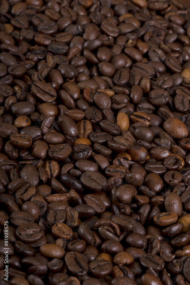 Coffee crops texture, background