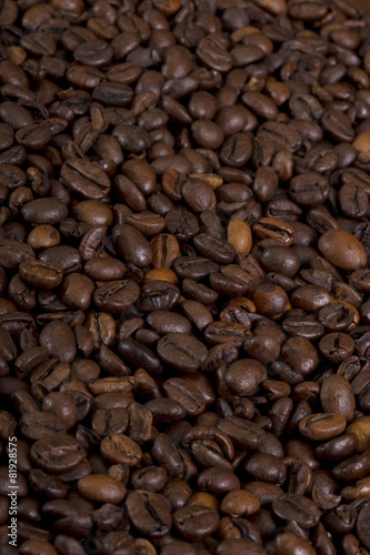 Coffee crops texture  background