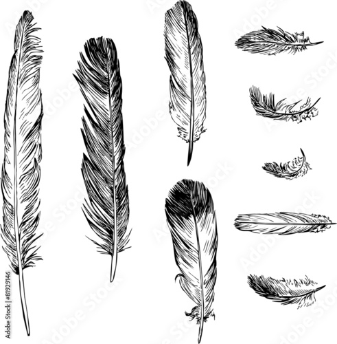 set of plumes