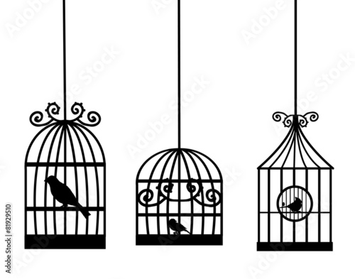 birdcage