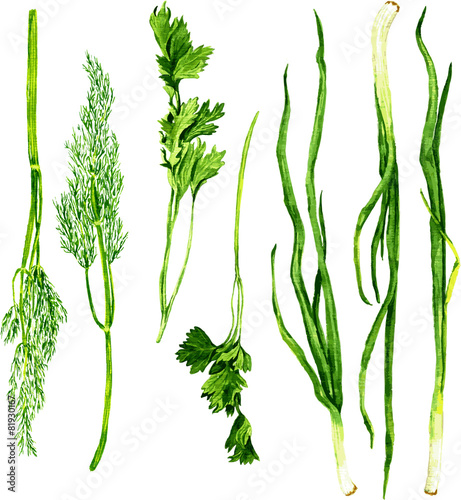 set of green stuff